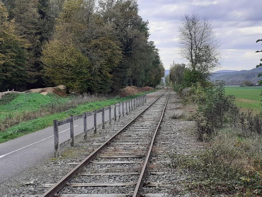 A L'Oree Du Bois "Les Hetres" Guewenheim Exterior foto